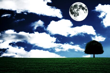 Landscape fantasia tree