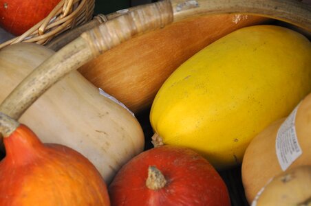 Fruit vegetables basket photo