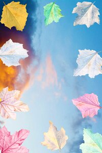 Autumn frame sky
