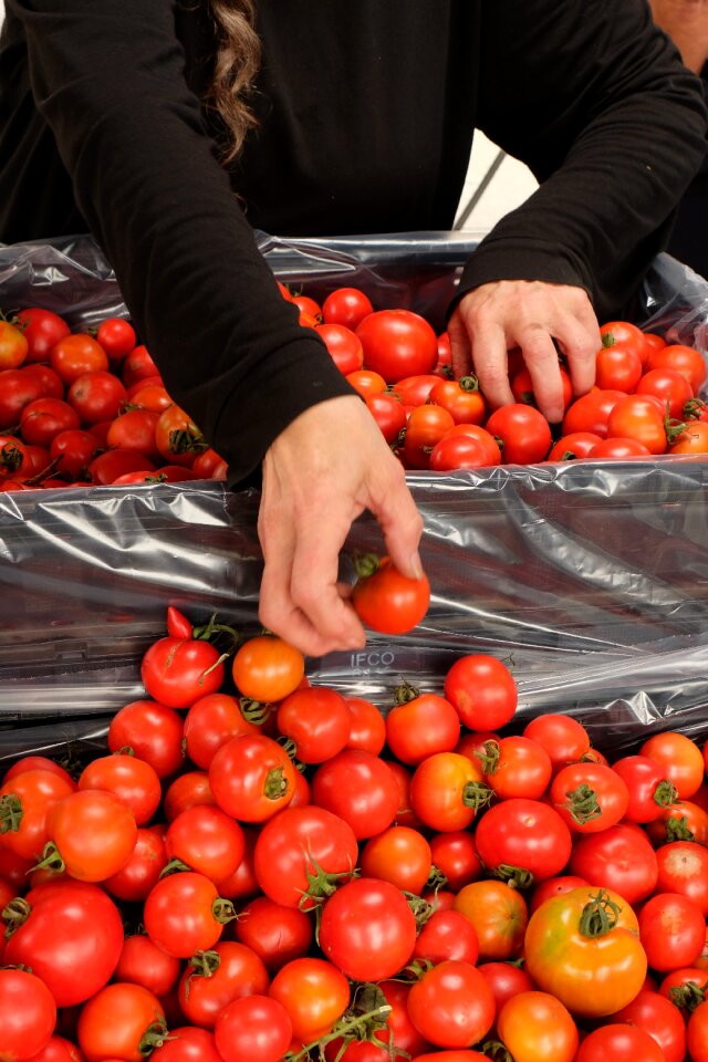 Organic market