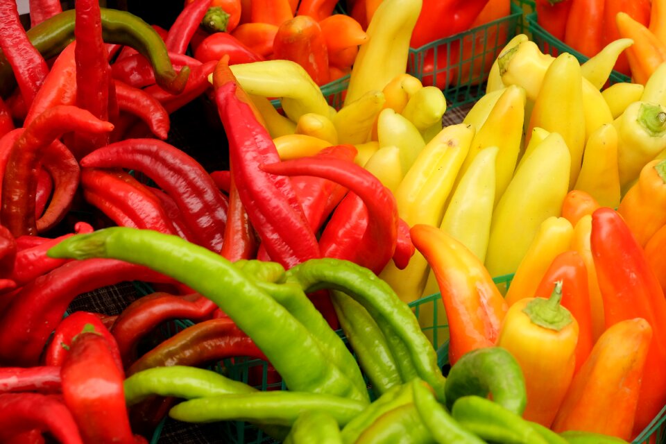 Vegetable organic fresh