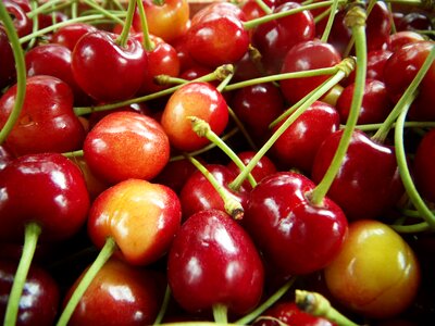 Macro fruit sweet