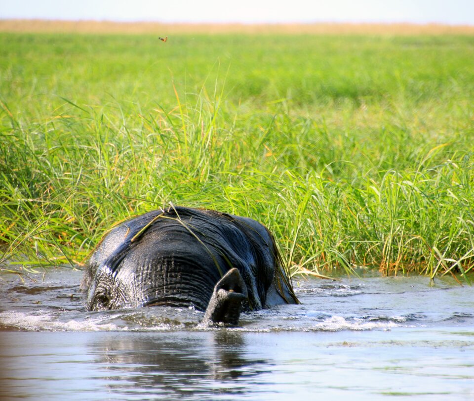 South africa water nature