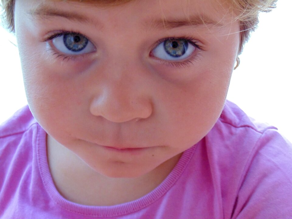 Blue hairs eyebrows