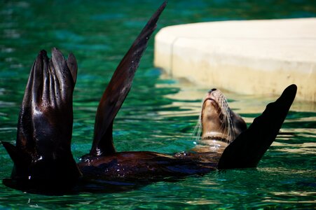 Zoo animal funny