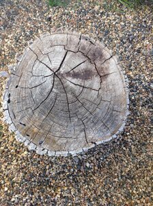 Old natural nature