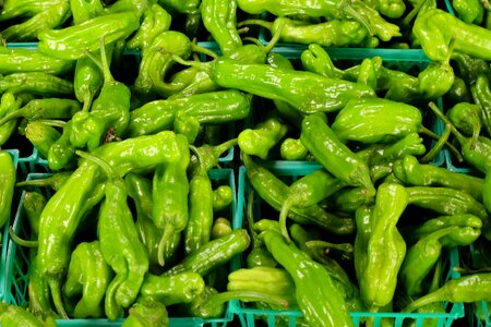 Healthy fresh green