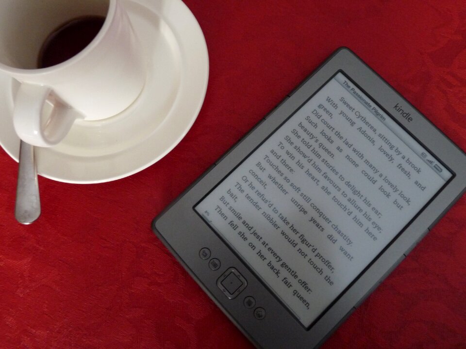E-book reading literature