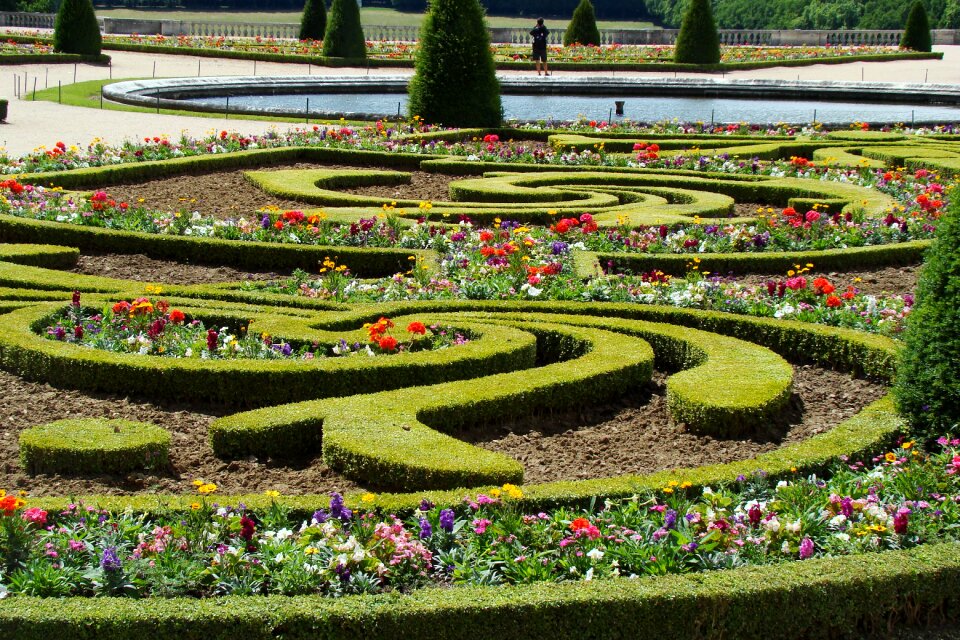 Hedge cis fountain