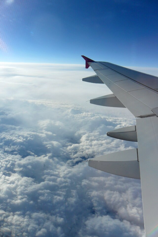 Airfare wings motors