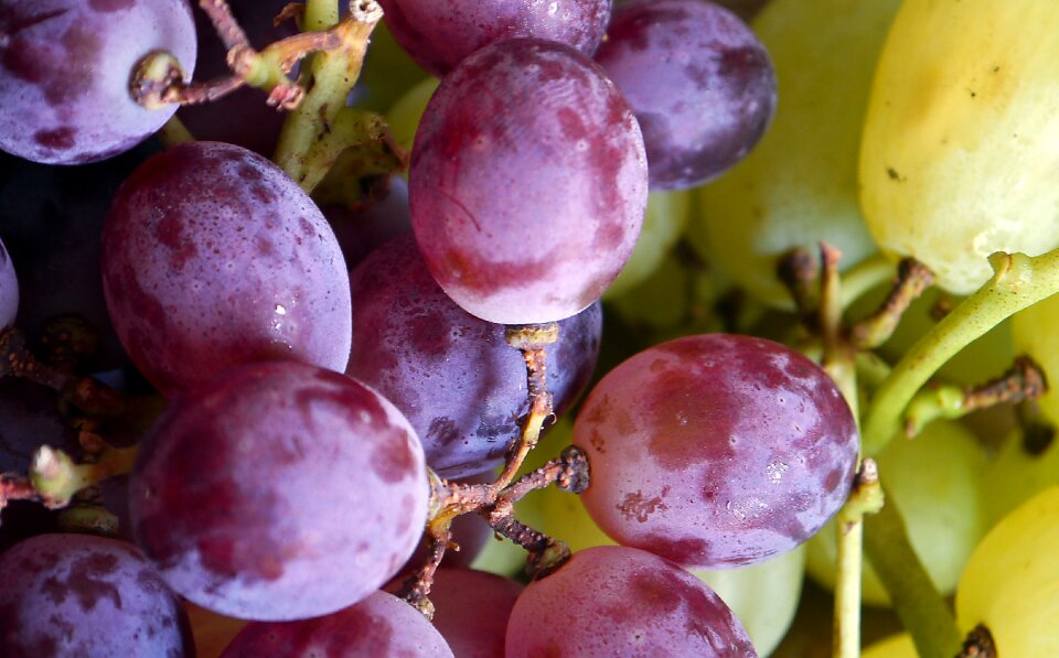 Fruit ripe healthy