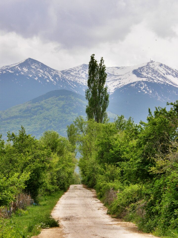 Way path trees