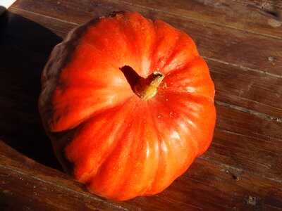 Sun fruit light