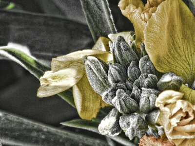 Autumn retro nature