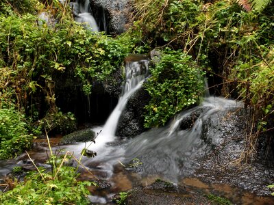Bourn grass water