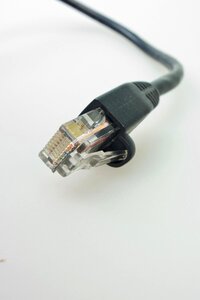 Patch cable network cable photo