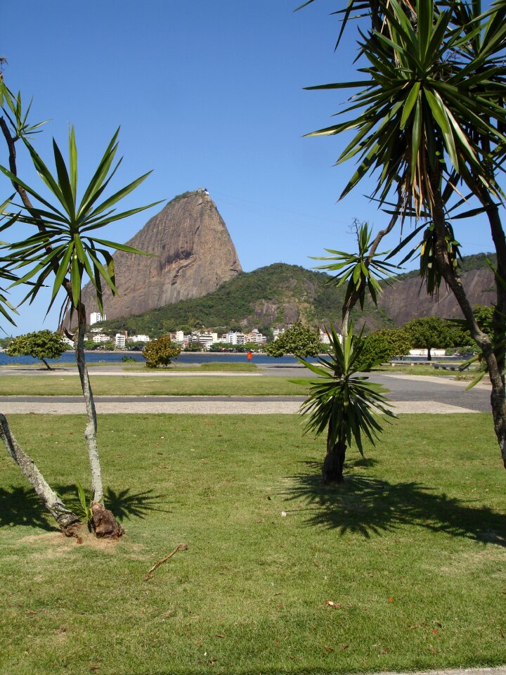 Flamengo rio de janeiro brazil