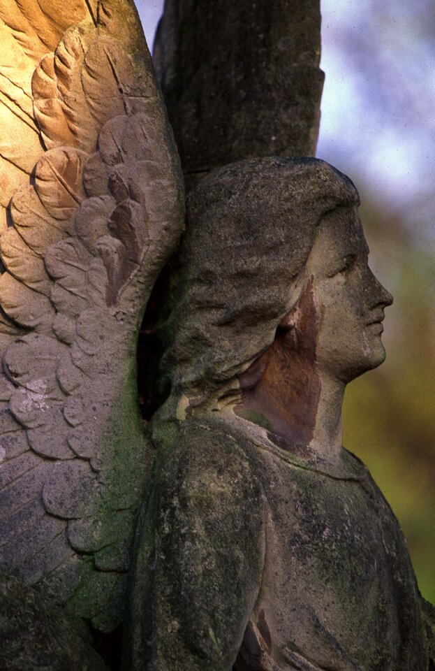 Sculpture graves the tomb of