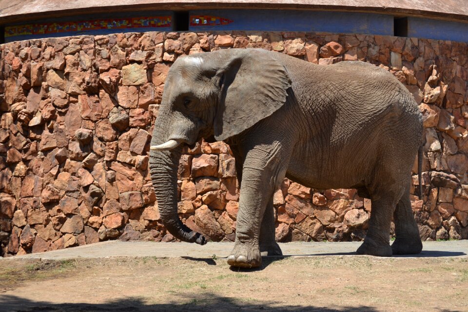 Big zoo