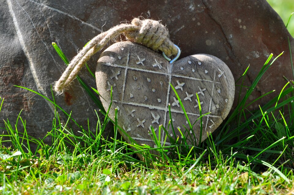 Wood grass stone