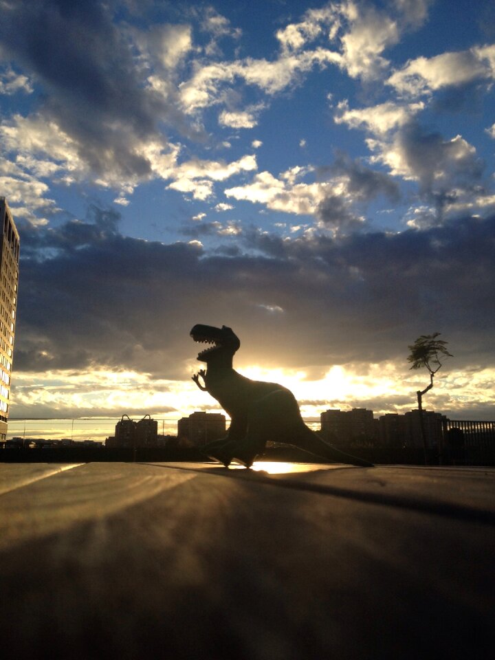 Sky backlight sunset