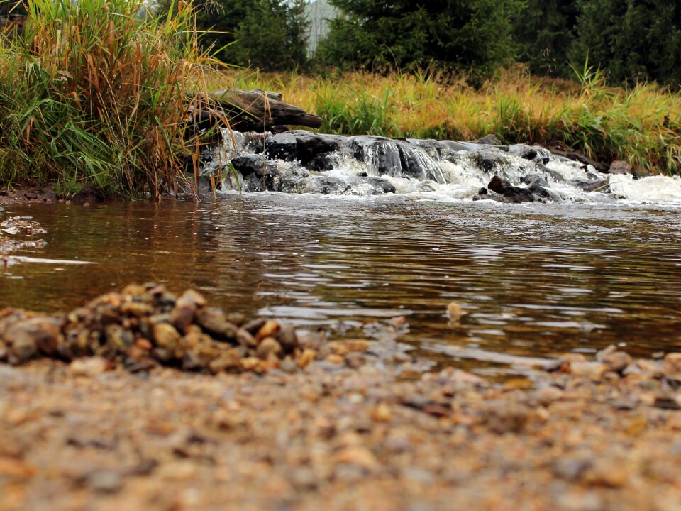 Stream stone weir