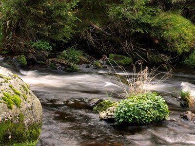 Water stone grass photo