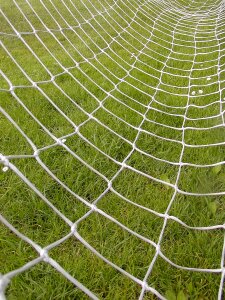 Network lawn green