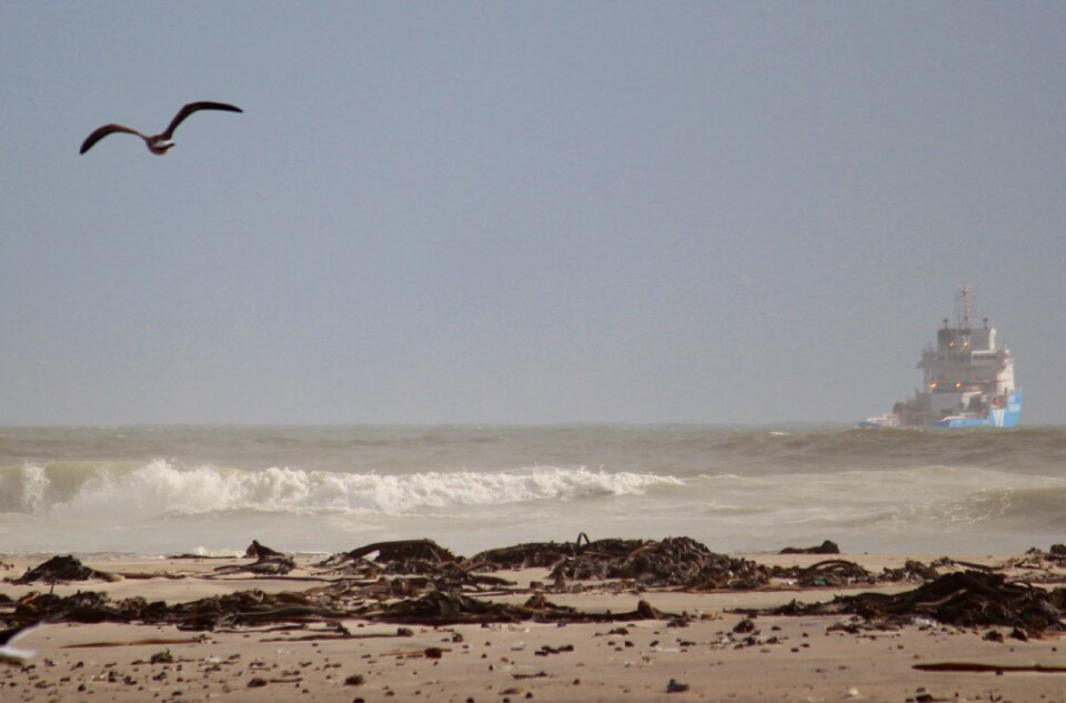 Sea hazy sand beach