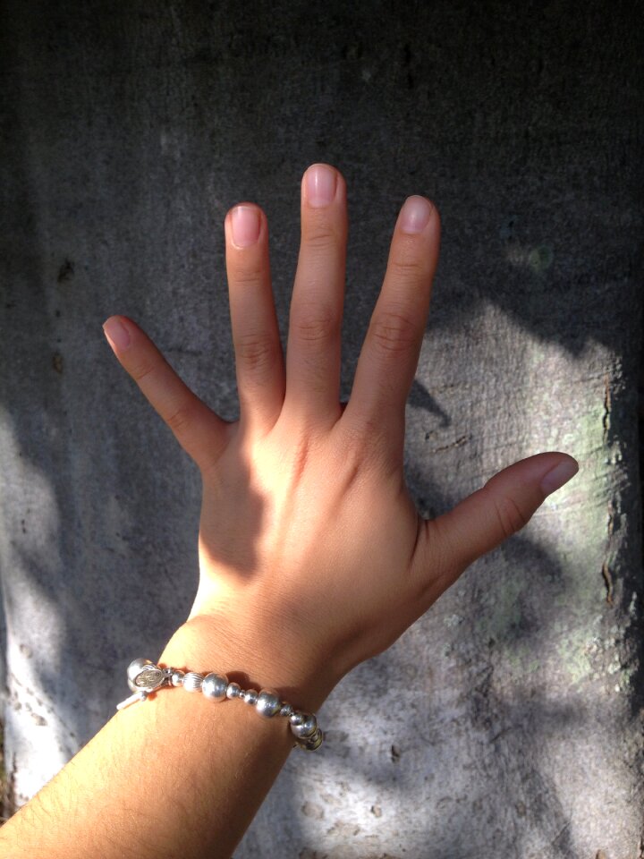 Hand outstretched hand trunk