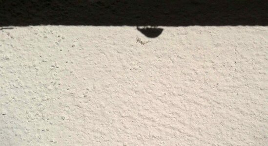 Shadow wall black and white