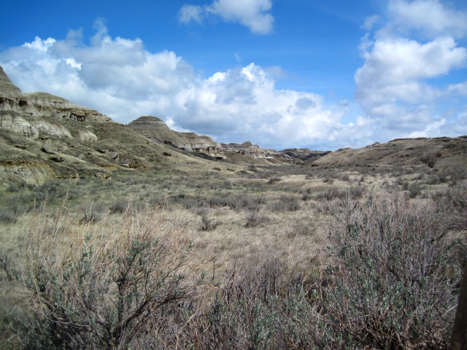 Landscape prairie view