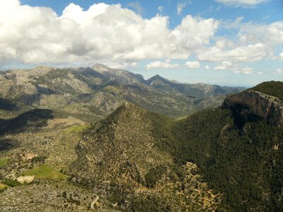 Tree forest mountains photo