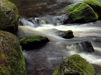 River moss stones photo