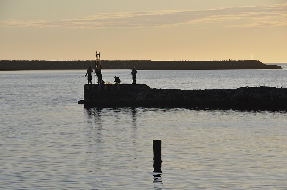 Fish catching sea photo