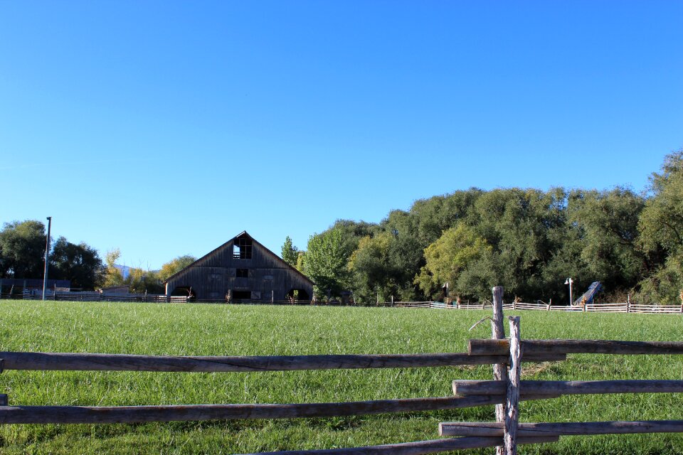 Country farming landscape