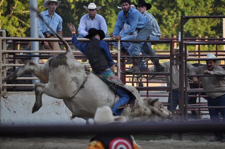 Cowboy western texas