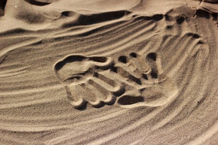 Sand love photo
