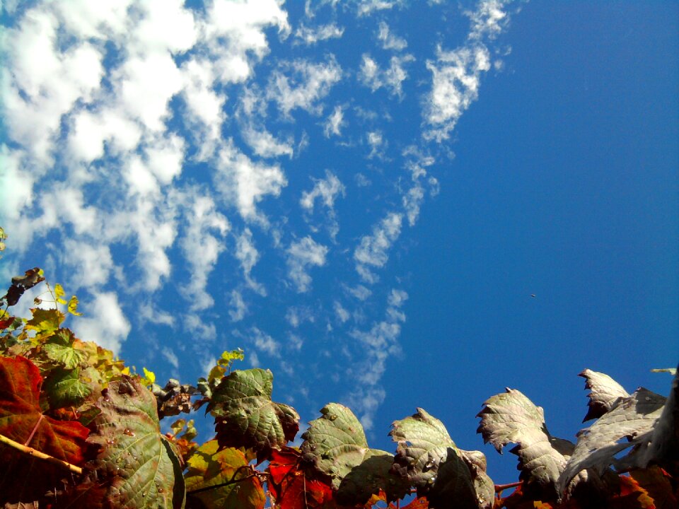 Sky clouds background