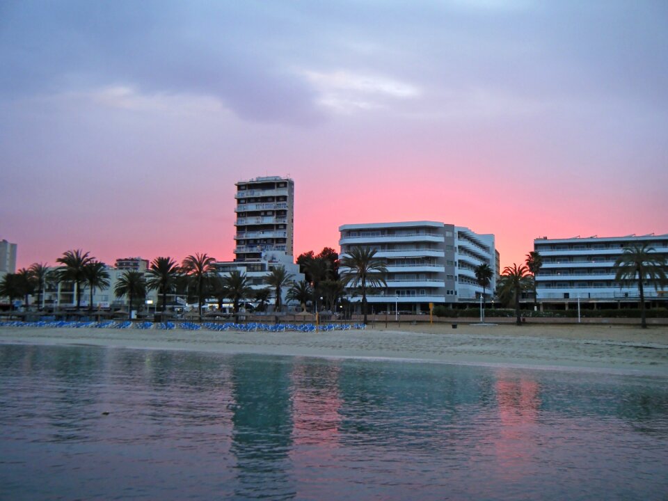 Beach palm trees majorca