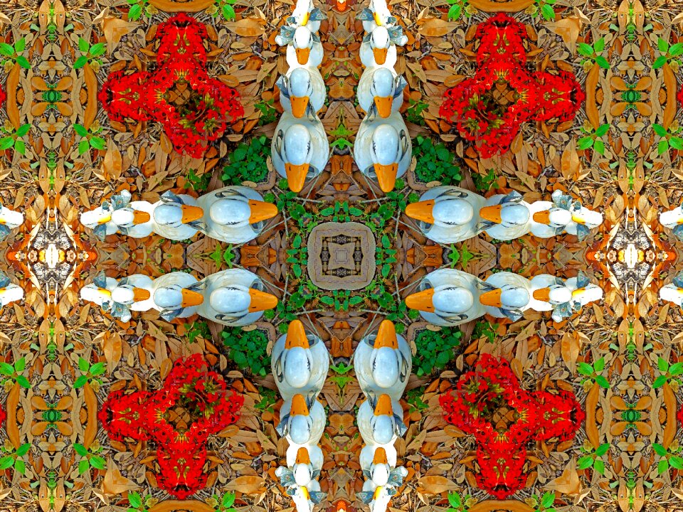 Pattern style color