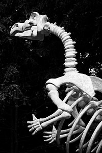 Creature dino dinosaur