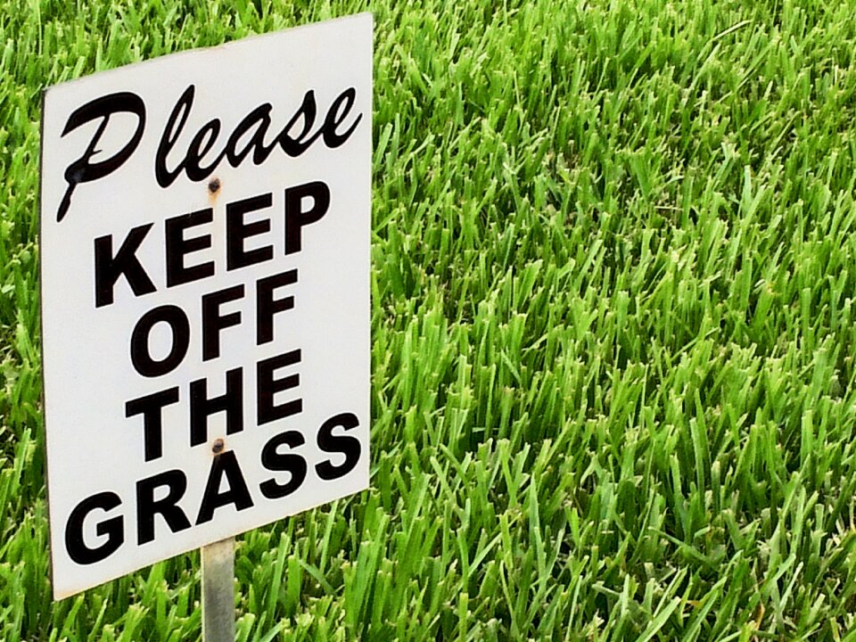 Sign grass summer