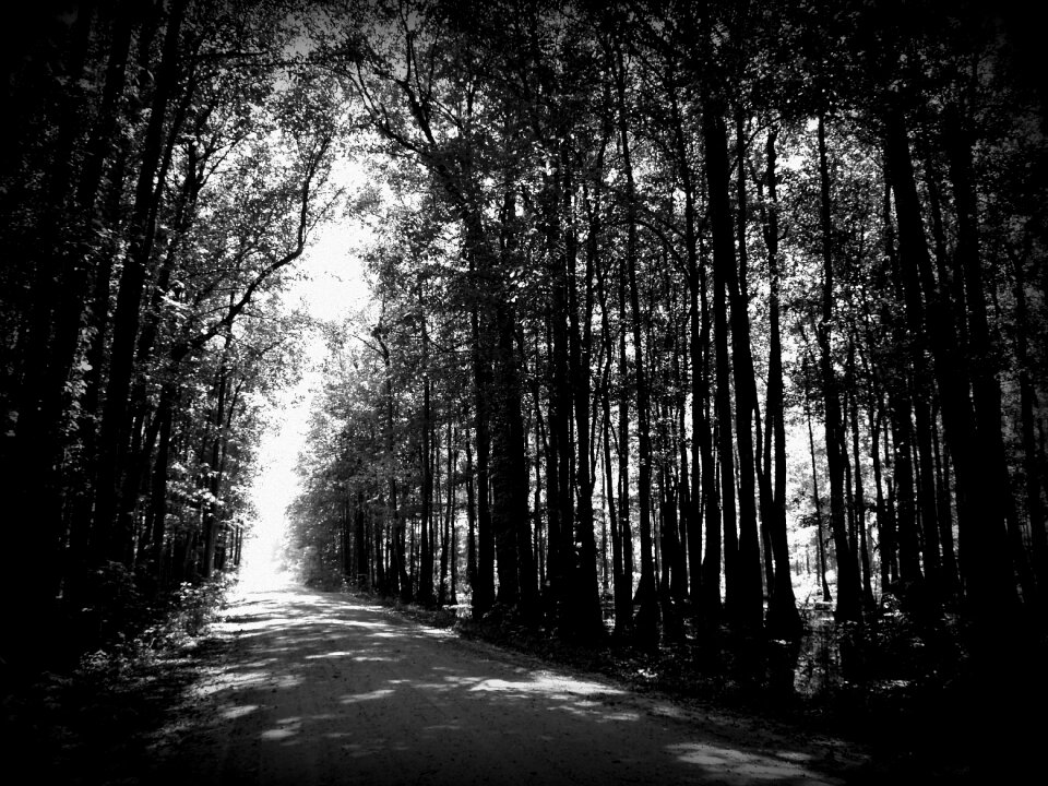 Black way travel