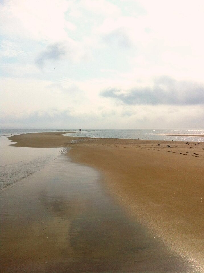 Walking ocean summer