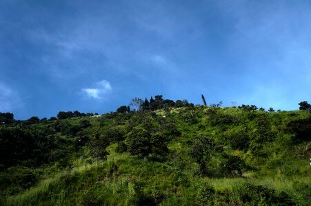 Sierra hill nature