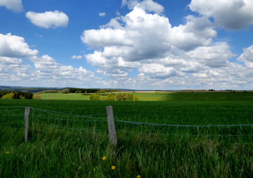 Landscape fence pasture