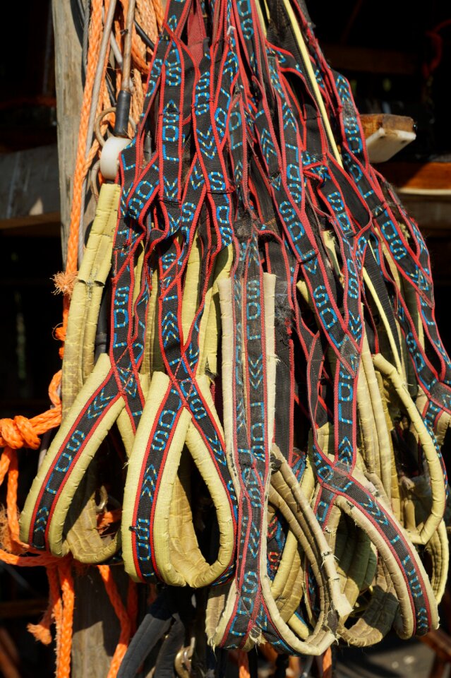 Dogsledding snow dog harness