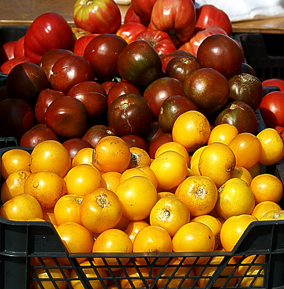 Nature food healthy