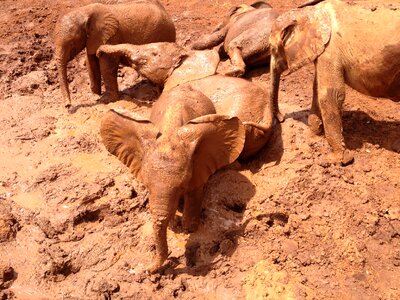 Mud kenya africa